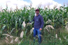 opcaolivre compras e vendas IMOVEIS RURAIS 1