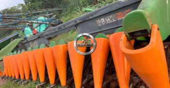 PLATAFORMA DE MILHO STARA BRAVA 5850 15X45 ANO 2008 (4)