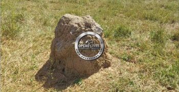 fazenda 111 hectares para pecuaria em Paranatinga – MT (2)