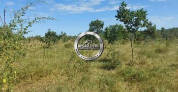 fazenda 111 hectares para pecuaria em Paranatinga – MT (3)