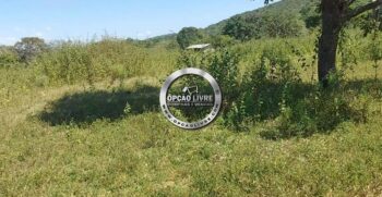 fazenda 111 hectares para pecuaria em Paranatinga – MT (4)