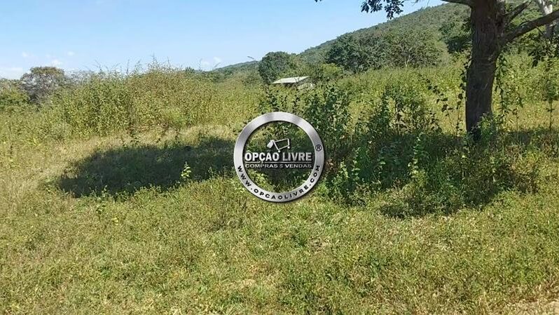 FAZENDA COM  111 HECTARES A VENDA EM PARANATINGA – MT