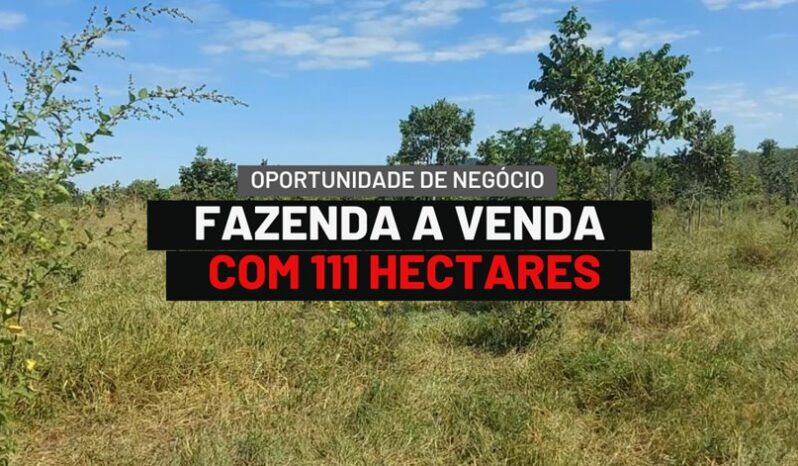 FAZENDA COM  111 HECTARES A VENDA EM PARANATINGA – MT