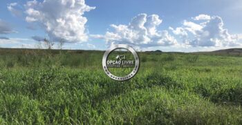 FAZENDA A VENDA 1600 HECTARES PRIMAVERA DO LESTE MT (3)