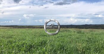 FAZENDA A VENDA 1600 HECTARES PRIMAVERA DO LESTE MT (4)