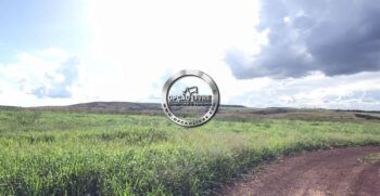 FAZENDA A VENDA 1600 HECTARES PRIMAVERA DO LESTE MT (5)