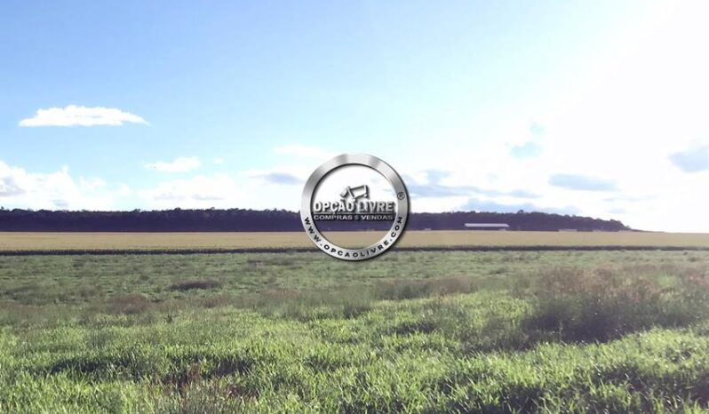 FAZENDA COM 1600 HECTARES A VENDA EM PRIMAVERA DO LESTE – MT