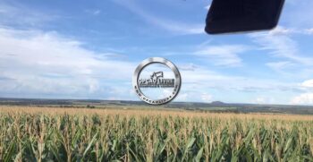 FAZENDA A VENDA 1600 HECTARES PRIMAVERA DO LESTE MT (7)