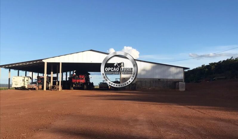 FAZENDA COM 1600 HECTARES A VENDA EM PRIMAVERA DO LESTE – MT