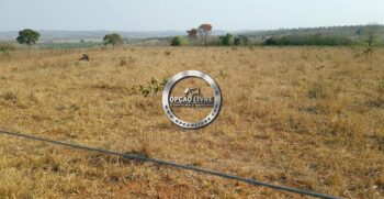 WhatsApp Image 2021-06-23 at 13.54.27 (1)