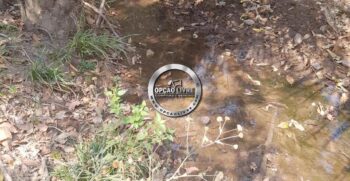 WhatsApp Image 2021-06-23 at 13.54.27 (18)