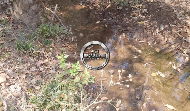 FAZENDA COM 176 HECTARES A VENDA EM RONDONÓPOLIS – MT