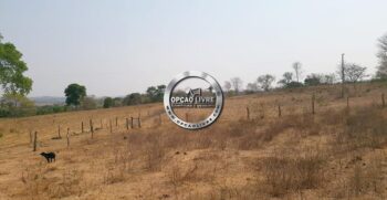 WhatsApp Image 2021-06-23 at 13.54.27 (19)