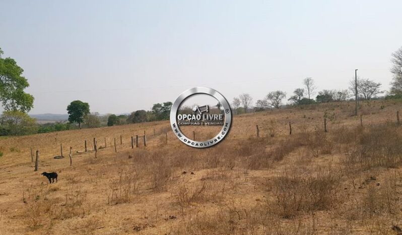 FAZENDA COM 176 HECTARES A VENDA EM RONDONÓPOLIS – MT
