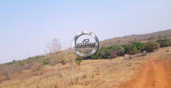 WhatsApp Image 2021-06-23 at 13.54.27 (20)