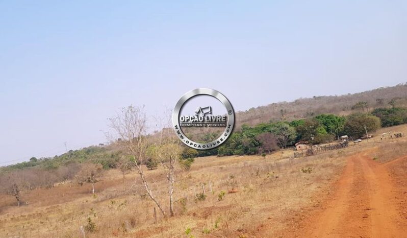 FAZENDA COM 176 HECTARES A VENDA EM RONDONÓPOLIS – MT