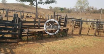 WhatsApp Image 2021-06-23 at 13.54.27 (4)