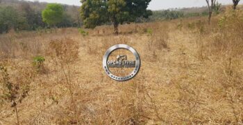 WhatsApp Image 2021-06-23 at 13.54.27 (9)