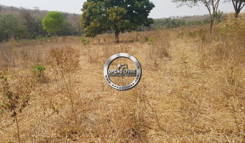 FAZENDA COM 176 HECTARES A VENDA EM RONDONÓPOLIS – MT