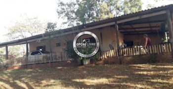 fazenda 1006 hectares para criação de gado – 1