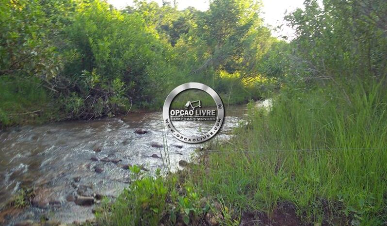 FAZENDA COM 1056 HECTARES A VENDA EM DOM AQUINO – MT