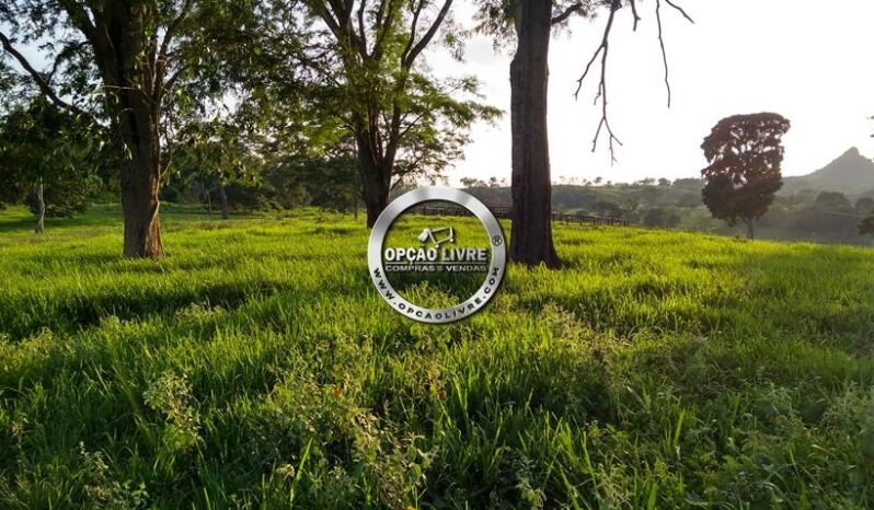 FAZENDA COM 1056 HECTARES A VENDA EM DOM AQUINO – MT