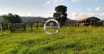 fazenda 1006 hectares para criação de gado – 22