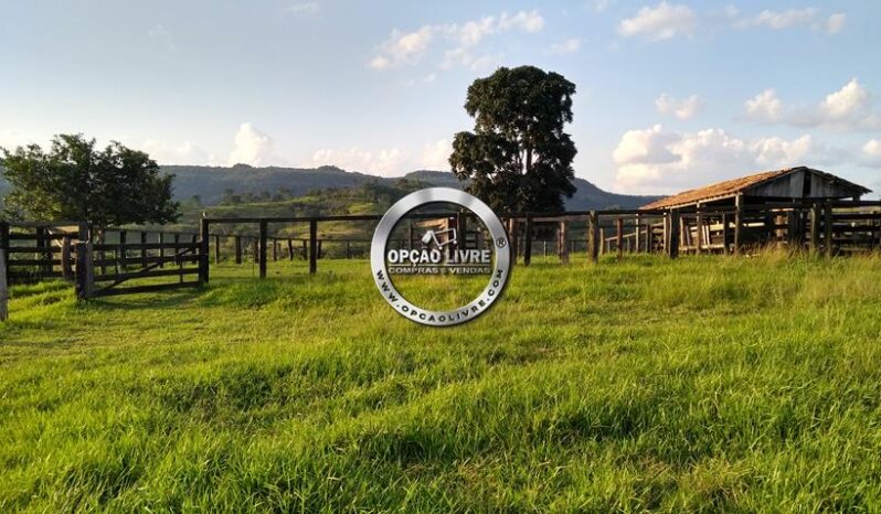 FAZENDA COM 1056 HECTARES A VENDA EM DOM AQUINO – MT