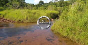 fazenda 1006 hectares para criação de gado – 7