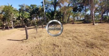 fazenda 111 hectares poxoreu mt (10)