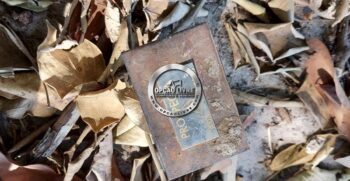 fazenda 111 hectares poxoreu mt (15)