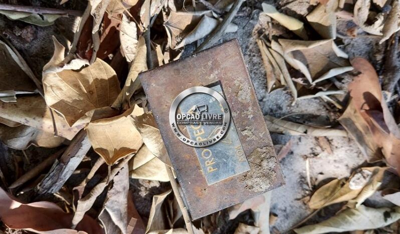 FAZENDA COM 107 HECTARES A VENDA EM POXORÉU – MT