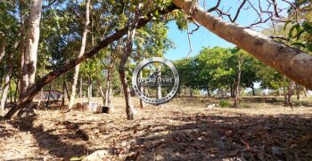 fazenda 111 hectares poxoreu mt (2)