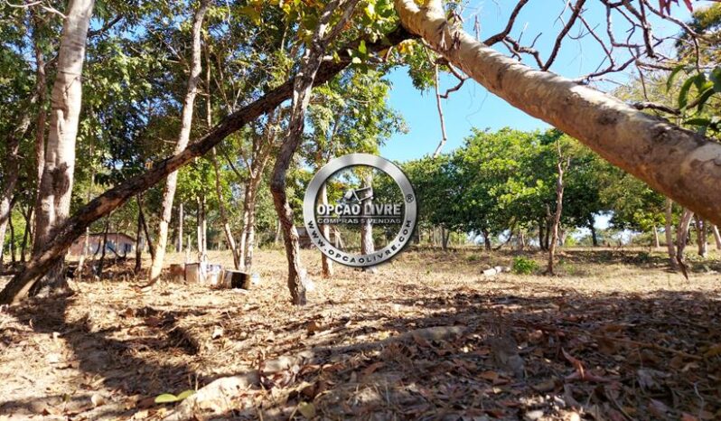 FAZENDA COM 107 HECTARES A VENDA EM POXORÉU – MT