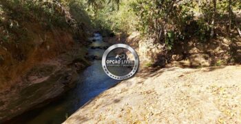 fazenda 111 hectares poxoreu mt (4)