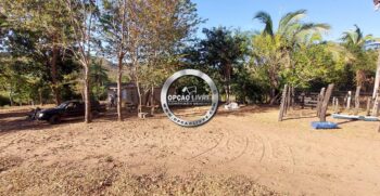 fazenda 111 hectares poxoreu mt (8)