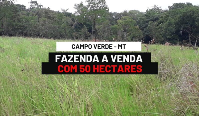 SITIO COM 50 HECTARES A VENDA EM CAMPO VERDE – MT