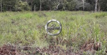 FAZENDA COM 50 HECTARES REGIÃO DE CAMPO VERDE – MT (1)