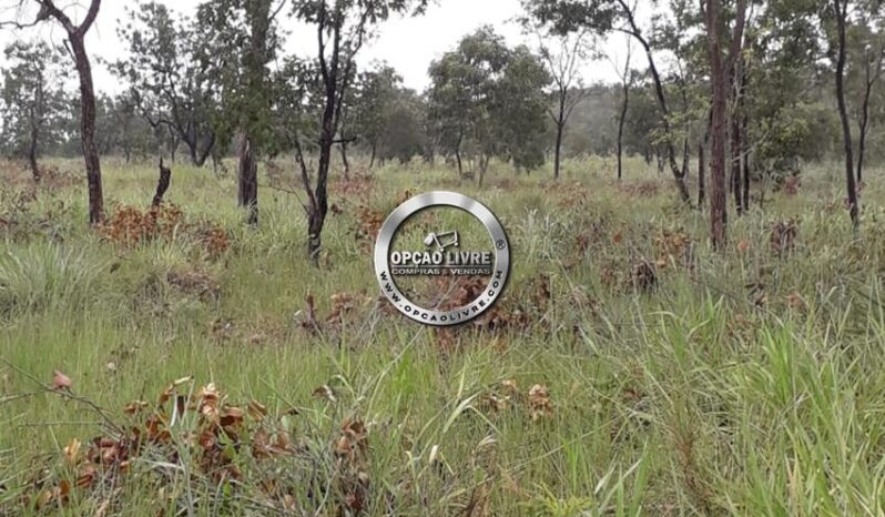 SITIO COM 50 HECTARES A VENDA EM CAMPO VERDE – MT