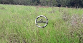 FAZENDA COM 50 HECTARES REGIÃO DE CAMPO VERDE – MT (12)