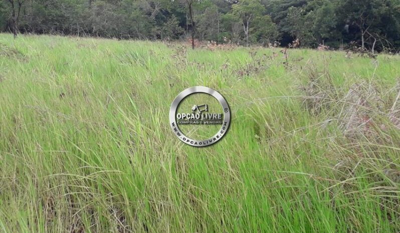 SITIO COM 50 HECTARES A VENDA EM CAMPO VERDE – MT