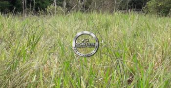 FAZENDA COM 50 HECTARES REGIÃO DE CAMPO VERDE – MT (14)