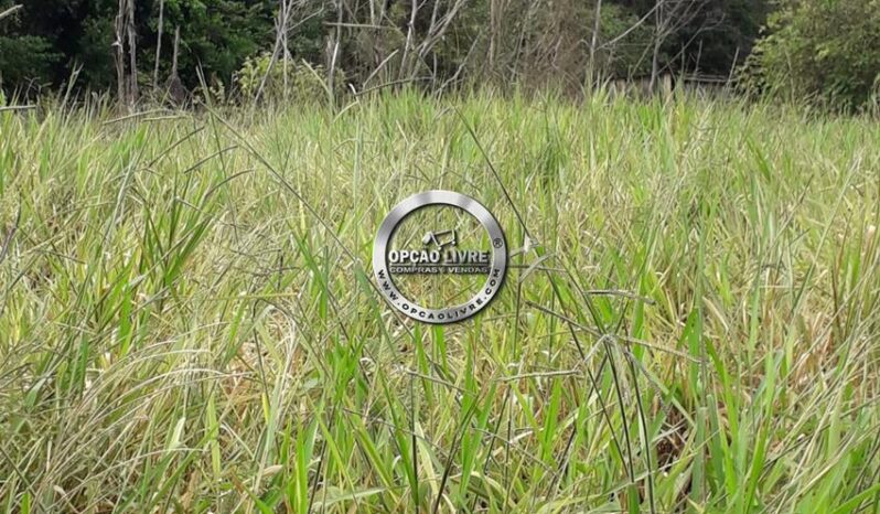 SITIO COM 50 HECTARES A VENDA EM CAMPO VERDE – MT