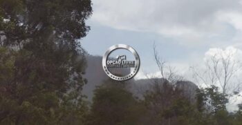 FAZENDA COM 50 HECTARES REGIÃO DE CAMPO VERDE – MT (5)