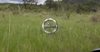 FAZENDA COM 50 HECTARES REGIÃO DE CAMPO VERDE – MT (6)