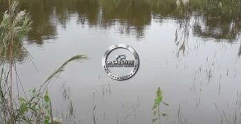 FAZENDA COM 50 HECTARES REGIÃO DE CAMPO VERDE – MT (7)