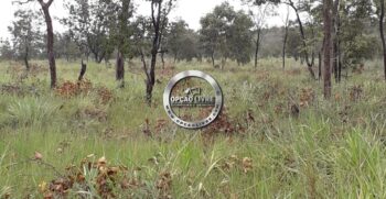 FAZENDA COM 50 HECTARES REGIÃO DE CAMPO VERDE – MT (8)