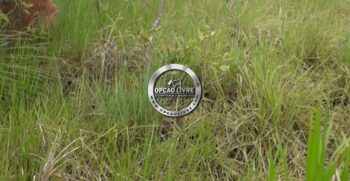 FAZENDA COM 50 HECTARES REGIÃO DE CAMPO VERDE – MT (9)