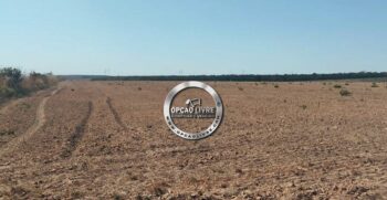 FAZENDA 201 HEC A VENDA EM PARANATINGA MT (10)