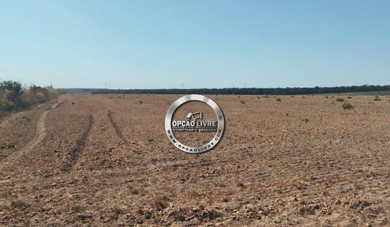 FAZENDA COM 201 HECTARES A VENDA EM PARANATINGA – MT